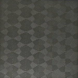 REMINDS CARBON