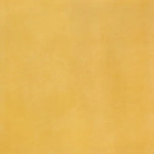 TULIP YELLOW