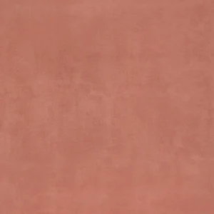 AUTUMN ORANGE