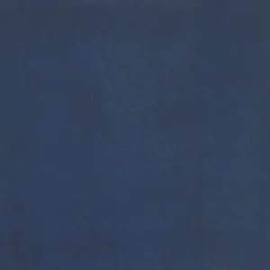 TWILIGHT BLUE